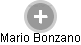  Mario B. - Vizualizace  propojení osoby a firem v obchodním rejstříku