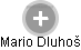 Mario Dluhoš - Vizualizace  propojení osoby a firem v obchodním rejstříku