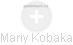 Mariy Kobaka - Vizualizace  propojení osoby a firem v obchodním rejstříku
