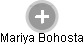 Mariya Bohosta - Vizualizace  propojení osoby a firem v obchodním rejstříku