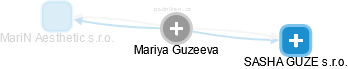 Mariya Guzeeva - Vizualizace  propojení osoby a firem v obchodním rejstříku