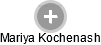 Mariya Kochenash - Vizualizace  propojení osoby a firem v obchodním rejstříku