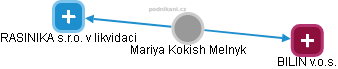 Mariya Kokish Melnyk - Vizualizace  propojení osoby a firem v obchodním rejstříku
