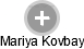 Mariya Kovbay - Vizualizace  propojení osoby a firem v obchodním rejstříku