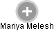 Mariya Melesh - Vizualizace  propojení osoby a firem v obchodním rejstříku