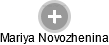 Mariya Novozhenina - Vizualizace  propojení osoby a firem v obchodním rejstříku