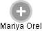 Mariya Orel - Vizualizace  propojení osoby a firem v obchodním rejstříku
