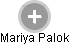 Mariya Palok - Vizualizace  propojení osoby a firem v obchodním rejstříku