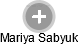 Mariya Sabyuk - Vizualizace  propojení osoby a firem v obchodním rejstříku