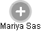 Mariya Sas - Vizualizace  propojení osoby a firem v obchodním rejstříku