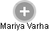 Mariya Varha - Vizualizace  propojení osoby a firem v obchodním rejstříku