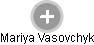 Mariya Vasovchyk - Vizualizace  propojení osoby a firem v obchodním rejstříku