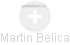 Martin Belica - Vizualizace  propojení osoby a firem v obchodním rejstříku