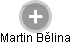 Martin Bělina - Vizualizace  propojení osoby a firem v obchodním rejstříku