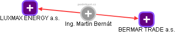 Martin Bernát - Vizualizace  propojení osoby a firem v obchodním rejstříku