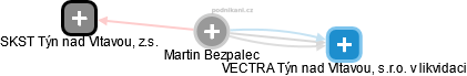Martin Bezpalec - Vizualizace  propojení osoby a firem v obchodním rejstříku