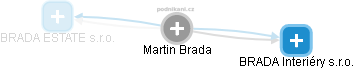Martin Brada - Vizualizace  propojení osoby a firem v obchodním rejstříku