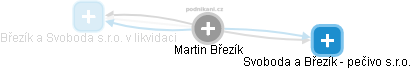 MARTIN BŔEZÍK - Vizualizace  propojení osoby a firem v obchodním rejstříku