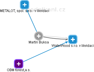 Martin Buksa - Vizualizace  propojení osoby a firem v obchodním rejstříku