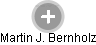 Martin J. Bernholz - Vizualizace  propojení osoby a firem v obchodním rejstříku