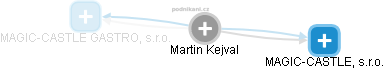 Martin Kejval - Vizualizace  propojení osoby a firem v obchodním rejstříku