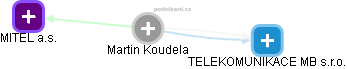 Martin Koudela - Vizualizace  propojení osoby a firem v obchodním rejstříku