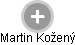 Martin Kožený - Vizualizace  propojení osoby a firem v obchodním rejstříku