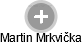 Martin Mrkvička - Vizualizace  propojení osoby a firem v obchodním rejstříku
