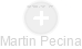 Martin Pecina - Vizualizace  propojení osoby a firem v obchodním rejstříku