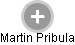 Martin Pribula - Vizualizace  propojení osoby a firem v obchodním rejstříku