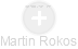 Martin Rokos - Vizualizace  propojení osoby a firem v obchodním rejstříku