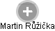 Martin Růžička - Vizualizace  propojení osoby a firem v obchodním rejstříku