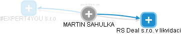 MARTIN SAHULKA - Vizualizace  propojení osoby a firem v obchodním rejstříku