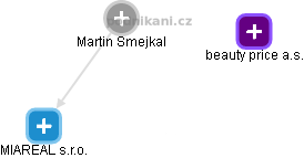 Martin Smejkal - Vizualizace  propojení osoby a firem v obchodním rejstříku