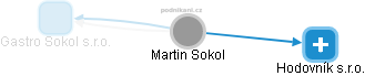 Martin Sokol - Vizualizace  propojení osoby a firem v obchodním rejstříku