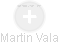 Martin Vala - Vizualizace  propojení osoby a firem v obchodním rejstříku