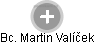 Martin Valíček - Vizualizace  propojení osoby a firem v obchodním rejstříku