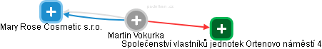 Martin Vokurka - Vizualizace  propojení osoby a firem v obchodním rejstříku