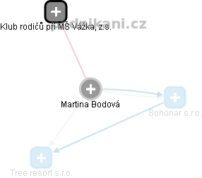 Martina Bodová - Vizualizace  propojení osoby a firem v obchodním rejstříku