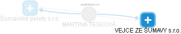 MARTINA TESKOVÁ - Vizualizace  propojení osoby a firem v obchodním rejstříku