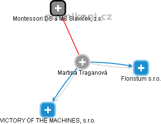 Martina Traganová - Vizualizace  propojení osoby a firem v obchodním rejstříku