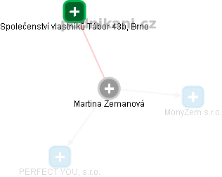 Martina Zemanová - Vizualizace  propojení osoby a firem v obchodním rejstříku