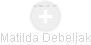 Matilda Debeljak - Vizualizace  propojení osoby a firem v obchodním rejstříku