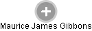 Maurice James Gibbons - Vizualizace  propojení osoby a firem v obchodním rejstříku