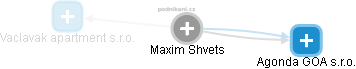 Maxim Shvets - Vizualizace  propojení osoby a firem v obchodním rejstříku