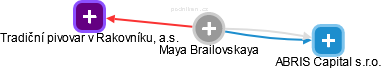  Maya B. - Vizualizace  propojení osoby a firem v obchodním rejstříku