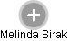 Melinda Sirak - Vizualizace  propojení osoby a firem v obchodním rejstříku
