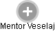 Mentor Veselaj - Vizualizace  propojení osoby a firem v obchodním rejstříku