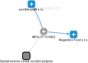  Mevlüt G. - Vizualizace  propojení osoby a firem v obchodním rejstříku