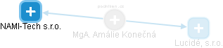  Amálie K. - Vizualizace  propojení osoby a firem v obchodním rejstříku